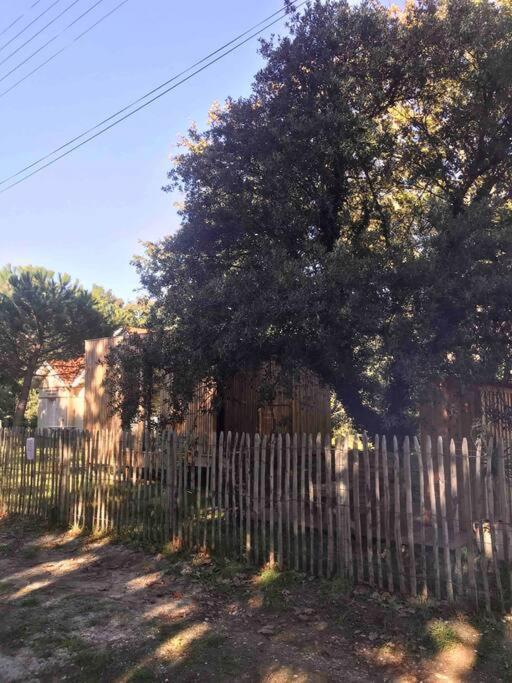 Ma Cabane Sous Les Arbres スラック・シュル・メール エクステリア 写真