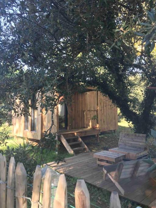Ma Cabane Sous Les Arbres スラック・シュル・メール エクステリア 写真